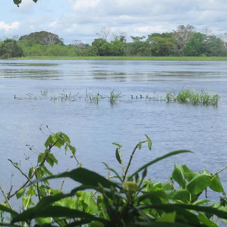 Hôtel Eware Refugio Amazonico à Puerto Nariño Extérieur photo