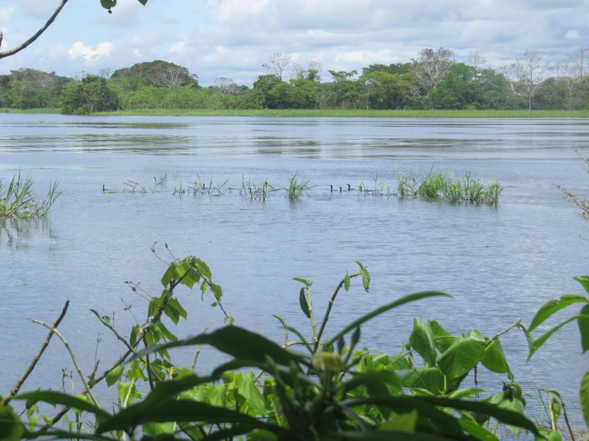 Hôtel Eware Refugio Amazonico à Puerto Nariño Extérieur photo