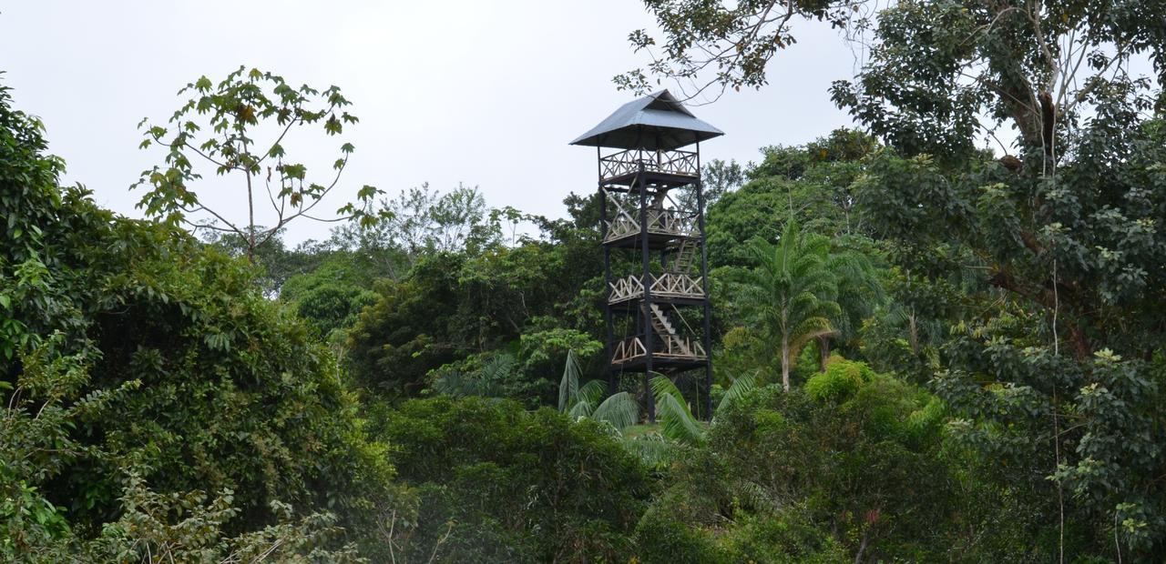 Hôtel Eware Refugio Amazonico à Puerto Nariño Extérieur photo