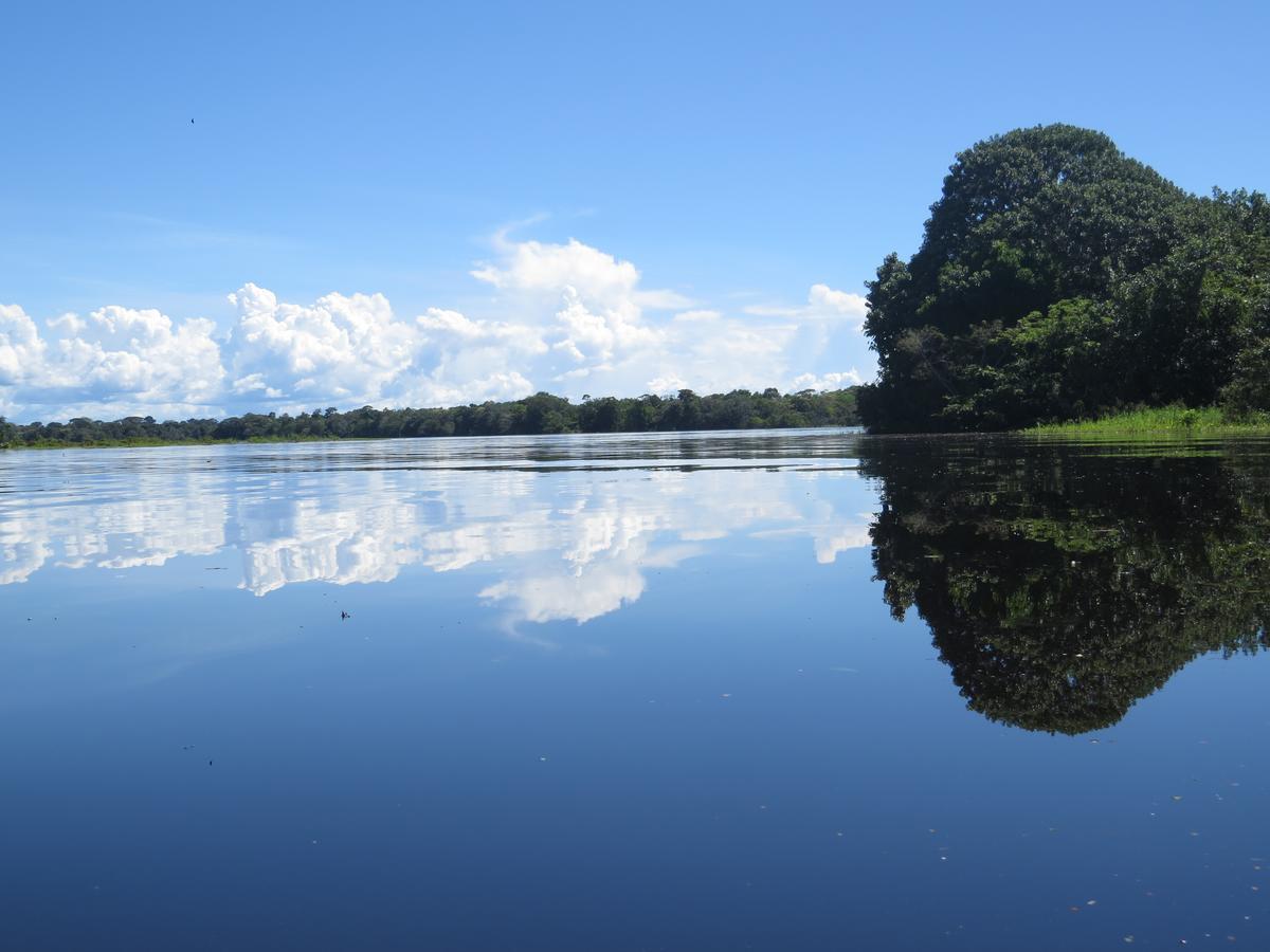 Hôtel Eware Refugio Amazonico à Puerto Nariño Extérieur photo