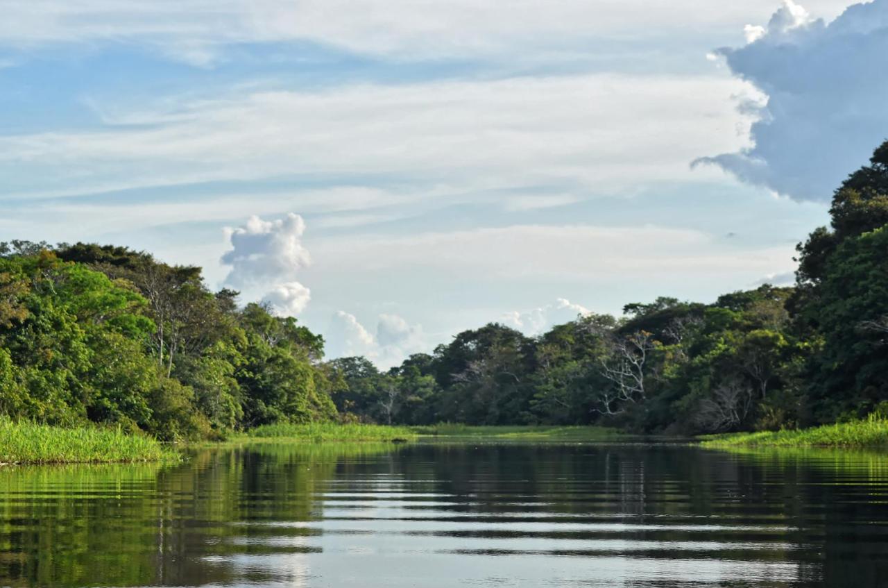 Hôtel Eware Refugio Amazonico à Puerto Nariño Extérieur photo